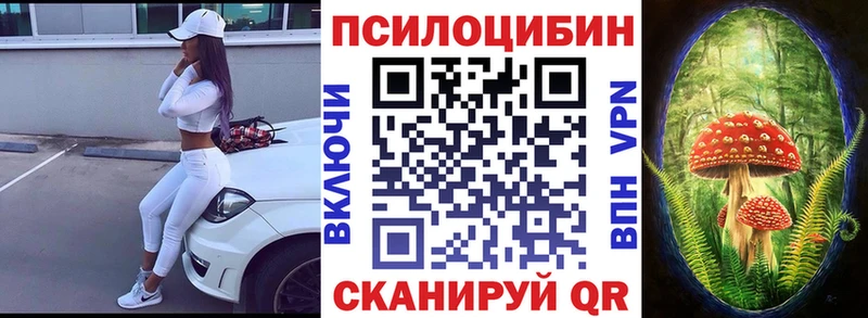 Псилоцибиновые грибы мицелий  Купить  Верхняя Пышма 